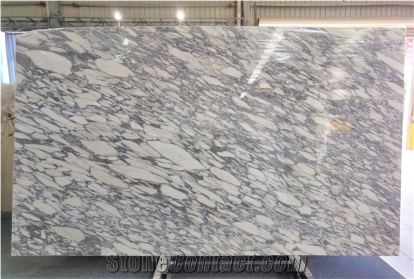 Italy Arabescato Mossa Carrara Bianco White Marble Slab