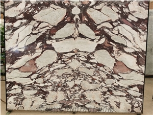 Italy Calacatta Breccia Vagli Violetta Marble Slab
