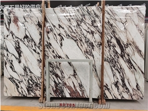Italy Calacatta Breccia Violetta Marble Slab