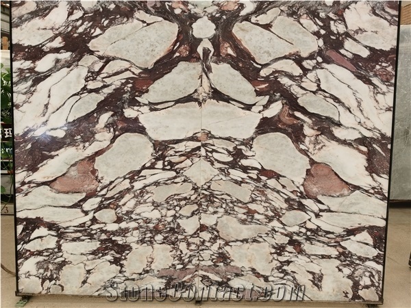 Italy Calacatta Breccia Violetta Marble Slab