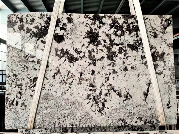 Polished Brazil Orion White Granite Slab