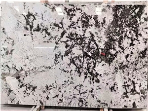 Polished Brazil Silver Fox White Granite Slab