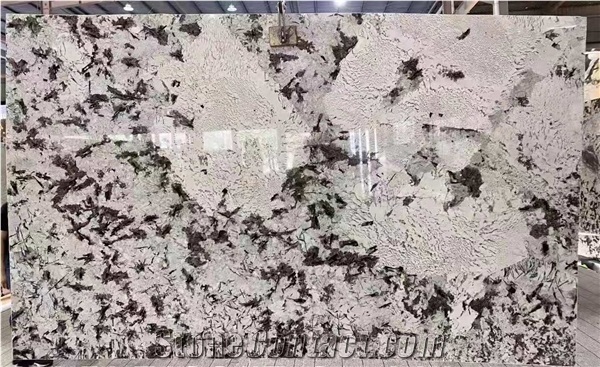Polished Brazil Silver Fox White Granite Slab