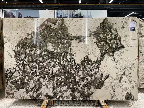 Vogue Branco Granite for Kitchen Countertop