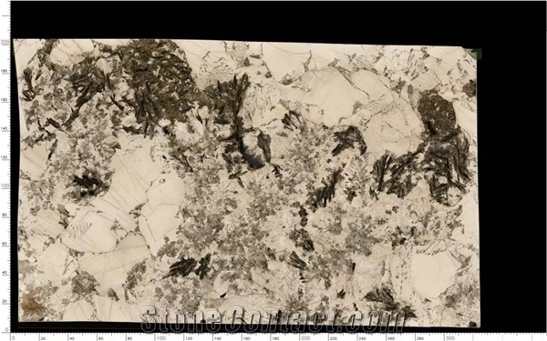 Vogue Branco Granite for Kitchen Countertop