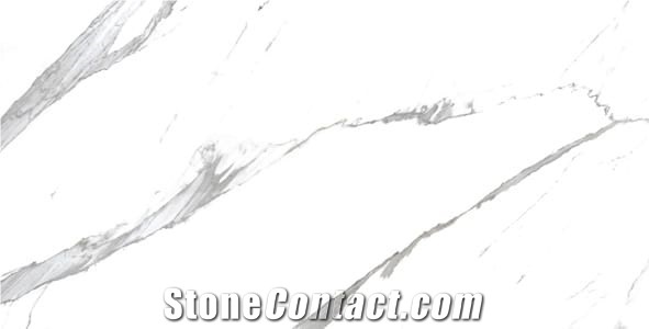 Porcelain/Ceramic Tile Look Like White Marble