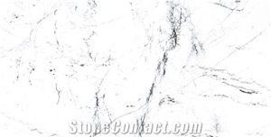 Porcelain/Ceramic Tile Look Like White Marble