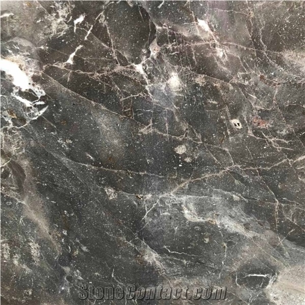 Amazon Coffee Marble Slabs, Tiles
