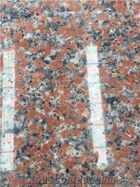 G562 Granite Maple Red Granite Polished Tiles & Slabs