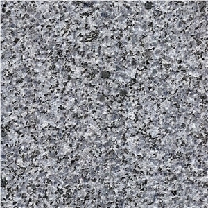 G654 Jiangxi Blue Eyes China Granite Good Price