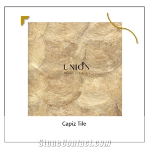 Gold Capiz Tiles Mother Of Pearl Seashell Mosaic Bedsroom
