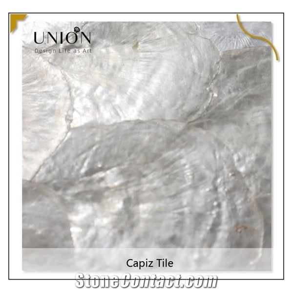 Mother Of Pearl Backgroud Wall Decoration for Hotel Decorat