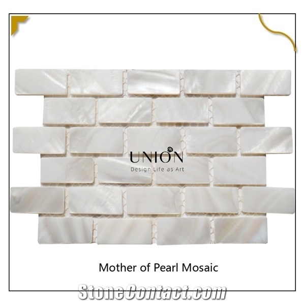 Natural River Shell Made in Mosaic Art Tiles for Living Room