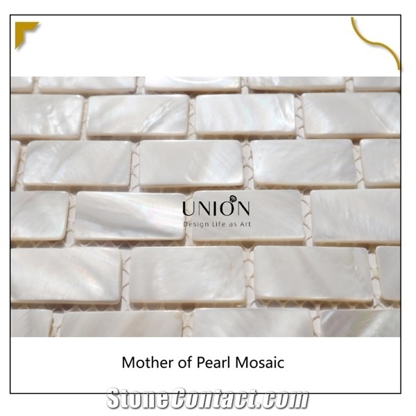 Natural River Shell Made in Mosaic Art Tiles for Living Room