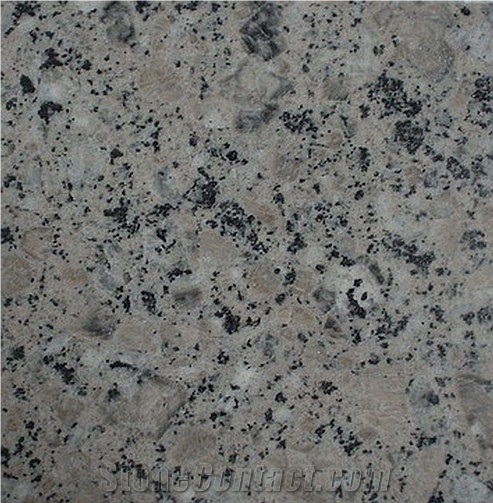 China Beige Granite Slabs & Tiles