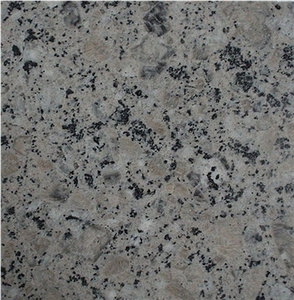 China Beige Granite Slabs & Tiles China Beige Granite Slabs & Tiles