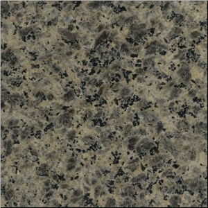 Leopard Skin Granite Slabs & Tiles