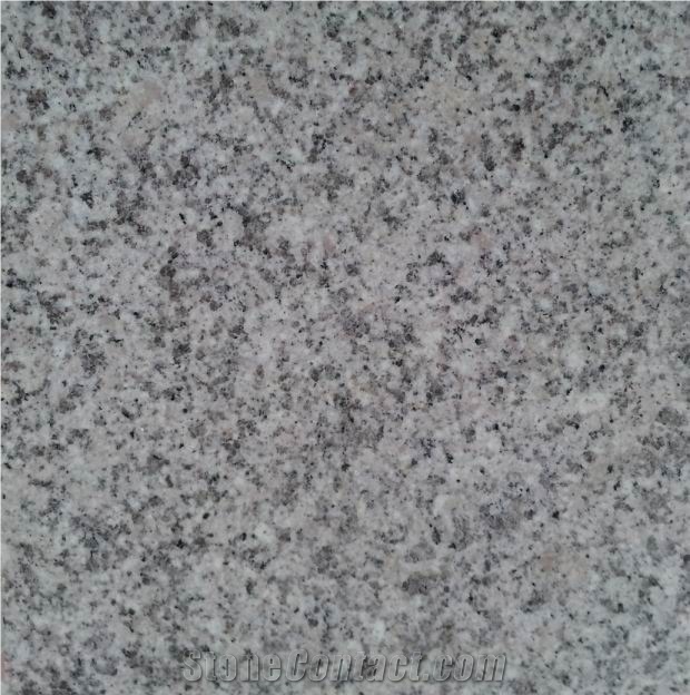 Sesame White Granite, G359 Granite Slabs & Tiles