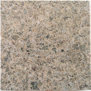 Tropic Brown Tiles & Slab