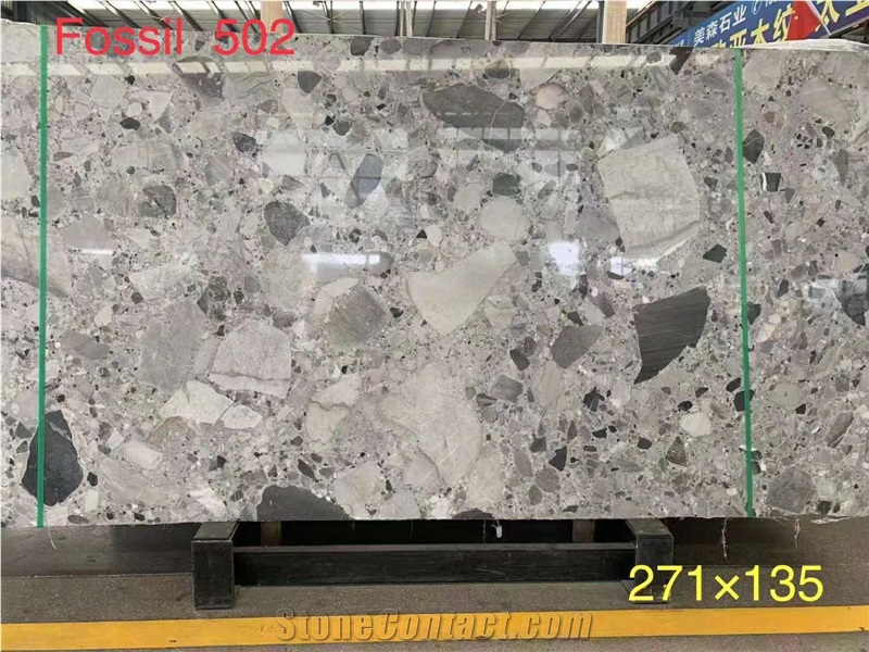 High Quality China Natural Fossil Grey Marble Slabs