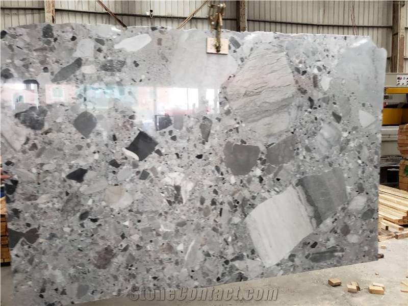 High Quality China Natural Fossil Grey Marble Slabs