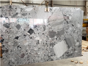 High Quality China Natural Fossil Grey Marble Slabs