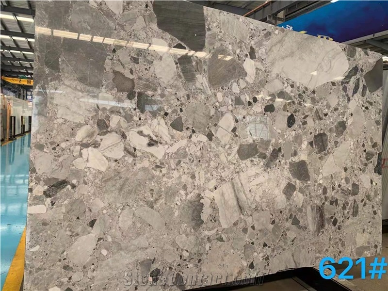 High Quality China Natural Fossil Grey Marble Slabs