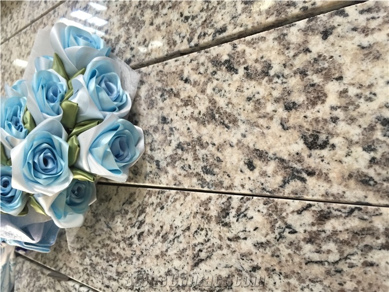 Tiger Skin White Granite Countertop for Interior Decoration