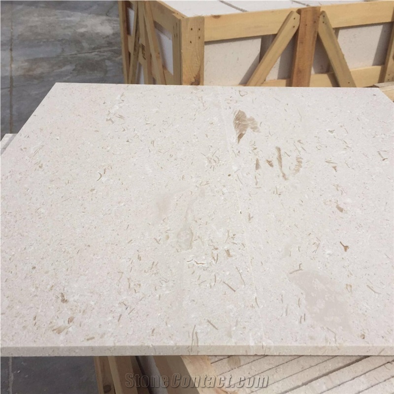 Shell Beige Fossil Limestone Slabs