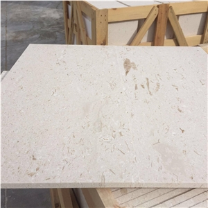 Shell Beige Fossil Limestone Slabs