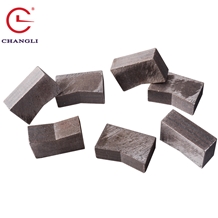 Segments For Multi 6.5Mm Cutter Blade