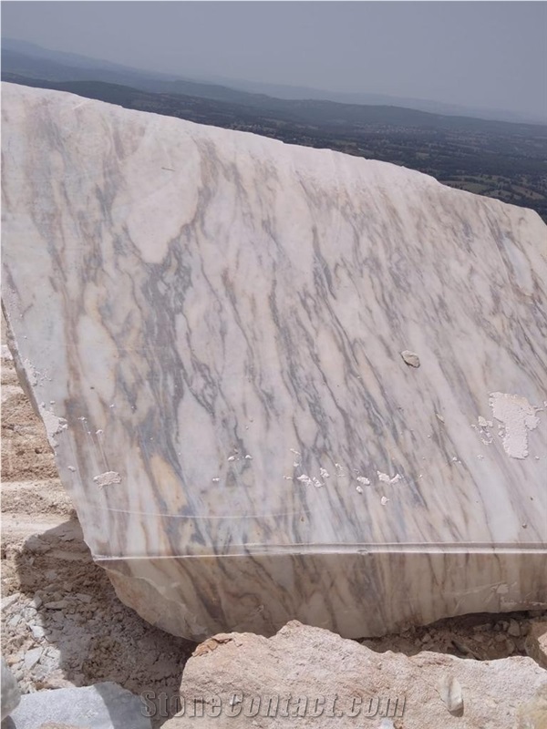 Mtg Stone Zebra Marble Blocks