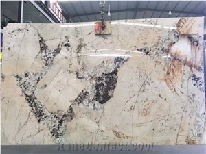 Exotic Yellow Quartzite Slab;Quartzite Kitchen Tile