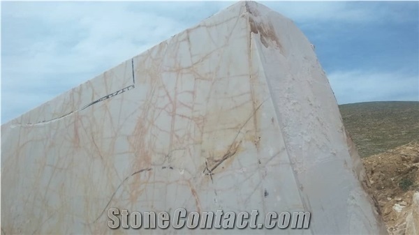 Golden Spider Marble Blocks
