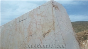 Golden Spider Marble Blocks