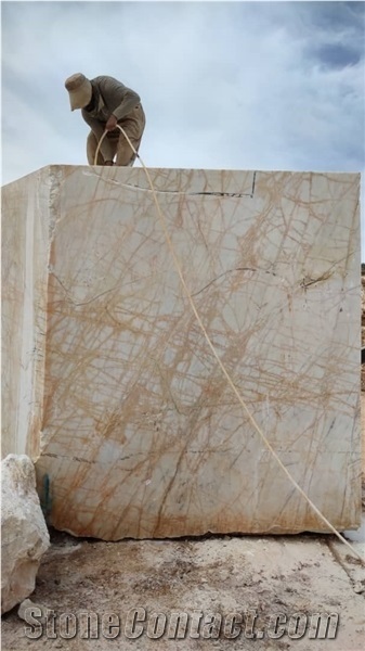Golden Spider Marble Blocks