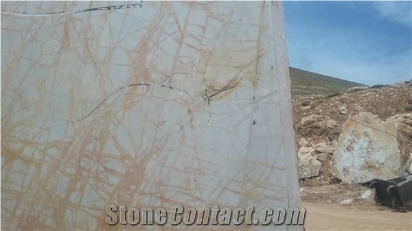 Golden Spider Marble Blocks