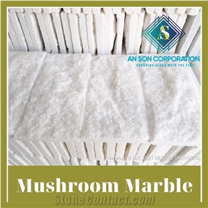 Ascdl001 White Mushroom Face Marble