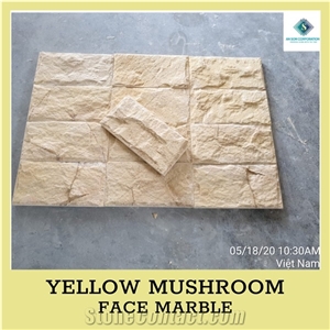 Ascdl003 Yellow Mushroom Face Marble Ascdl003 Yellow Mushroom Face Marble