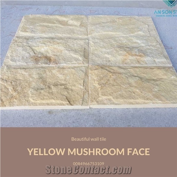 Yellow- Mushroom Finish in New House