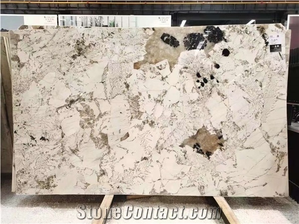 Luxury Brazil Alpen White Granite Slab