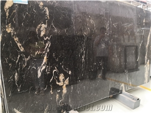 Luxury Brazil Arctic Night Black Quartzite Slab