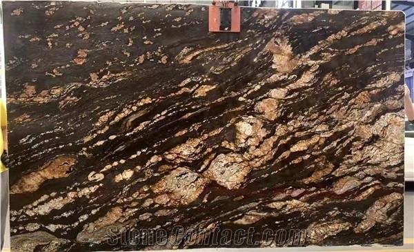 Luxury Brazil Black Swan Granite Slab