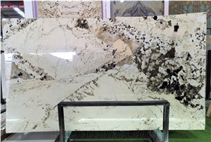 Polished Fantastic Patagonia White Quartzite Granite Slabs