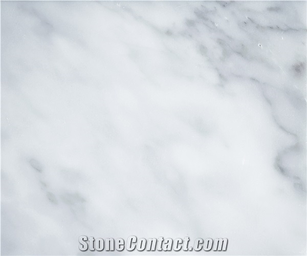 Bianco Macchietta Marble Slabs