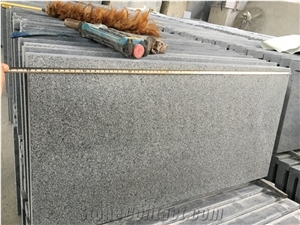 Affordable Price Black G654 Granite Swimming Pool Coping