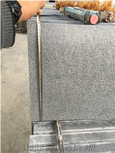 G654 Padong Dark Granite Stone Swimming Pool Coping