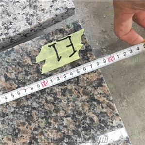 Caledonia Dark Brown Granite Tiles for Hotel Project