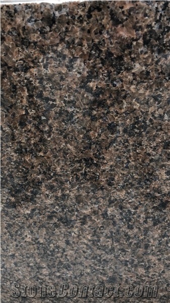 Tropic Brown Granite Tiles for Wall Cladding and Flooring