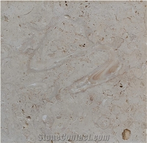White Shell Stone, Coral Stone Tiles
